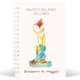 Notes museo Salinas, 