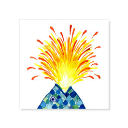 Pesce vulcano 1 