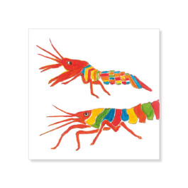 Magnete gamberi, 