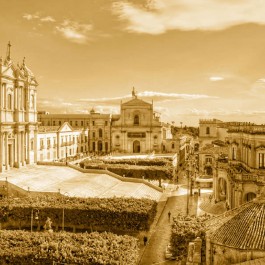 Foto noto,
